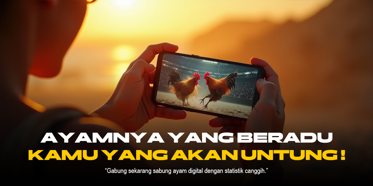 Membongkar Mitos dan Realita Sabung Ayam: Seni Tradisional yang Menantang Adrenalin